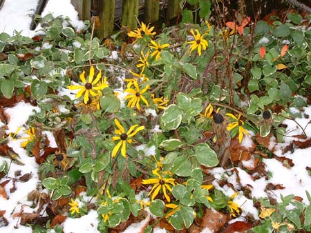 firstsnow firstsnow